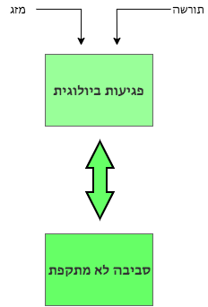  הביוסוציאלי תרשים dbt