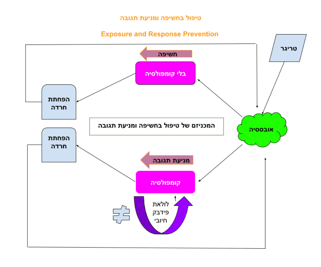 טיפול בחשיפה ומניעת תגובה