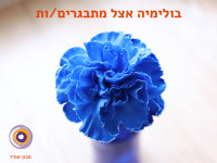 בולימיה אצל בני נוער