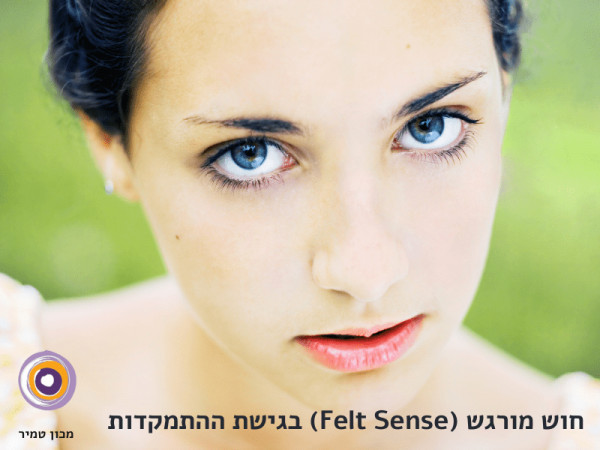 חוש מורגש (Felt Sense) 