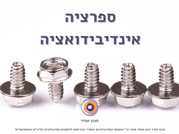 ספרציה אינדיבידואציה