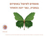 מומחים לטיפול באוטיזם בנתניה כפר יונה והאזור