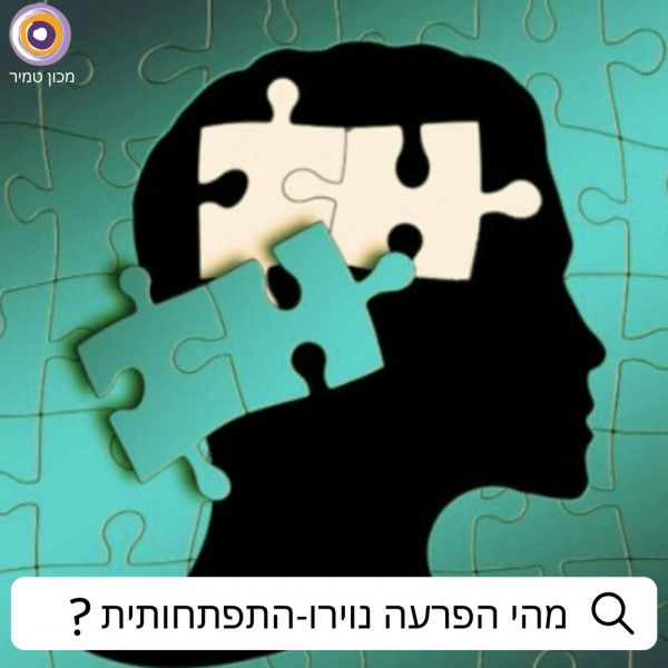 הפרעה נוירו-התפתחותית 