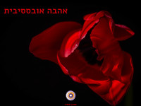 אהבה אובססיבית - ROCD 