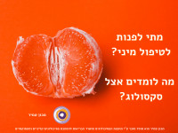 טיפול מיני