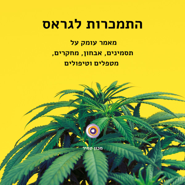 התמכרות לגראס