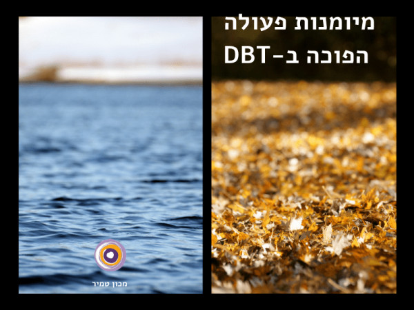 מיומנות פעולה  הפוכה ב-DBT