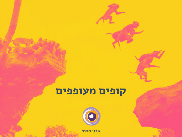  קופים מעופפים ביחסים רעילים