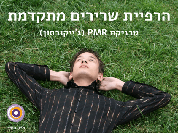 טכניקת PMR