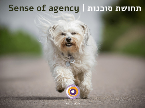 תחושת סוכנות Sense of agency