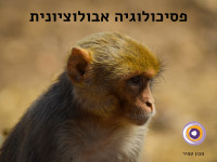 פסיכולוגיה אבולוציונית