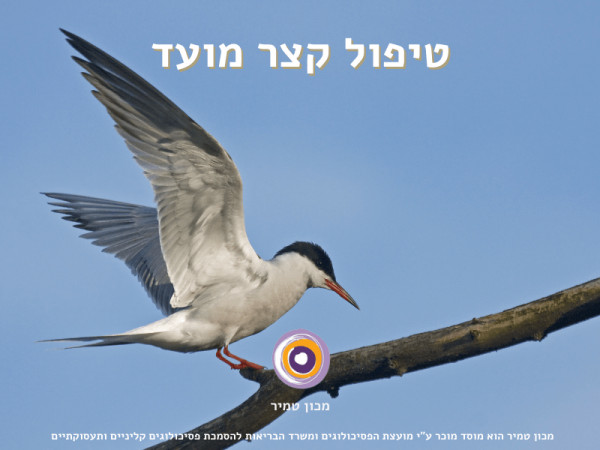 טיפול קצר מועד