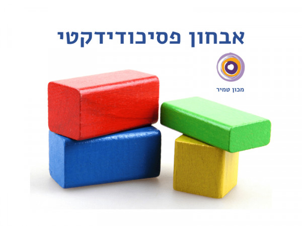 אבחון פסיכודידקטי