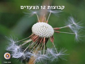 שיטת 12 הצעדים