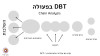 ניתוח התנהגות בטיפול דיאלקטי התנהגותי (DBT)