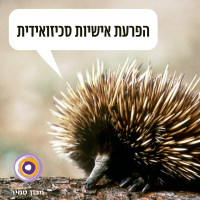 סכיזואידיות