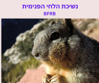 נשיכת לחי פנימית
